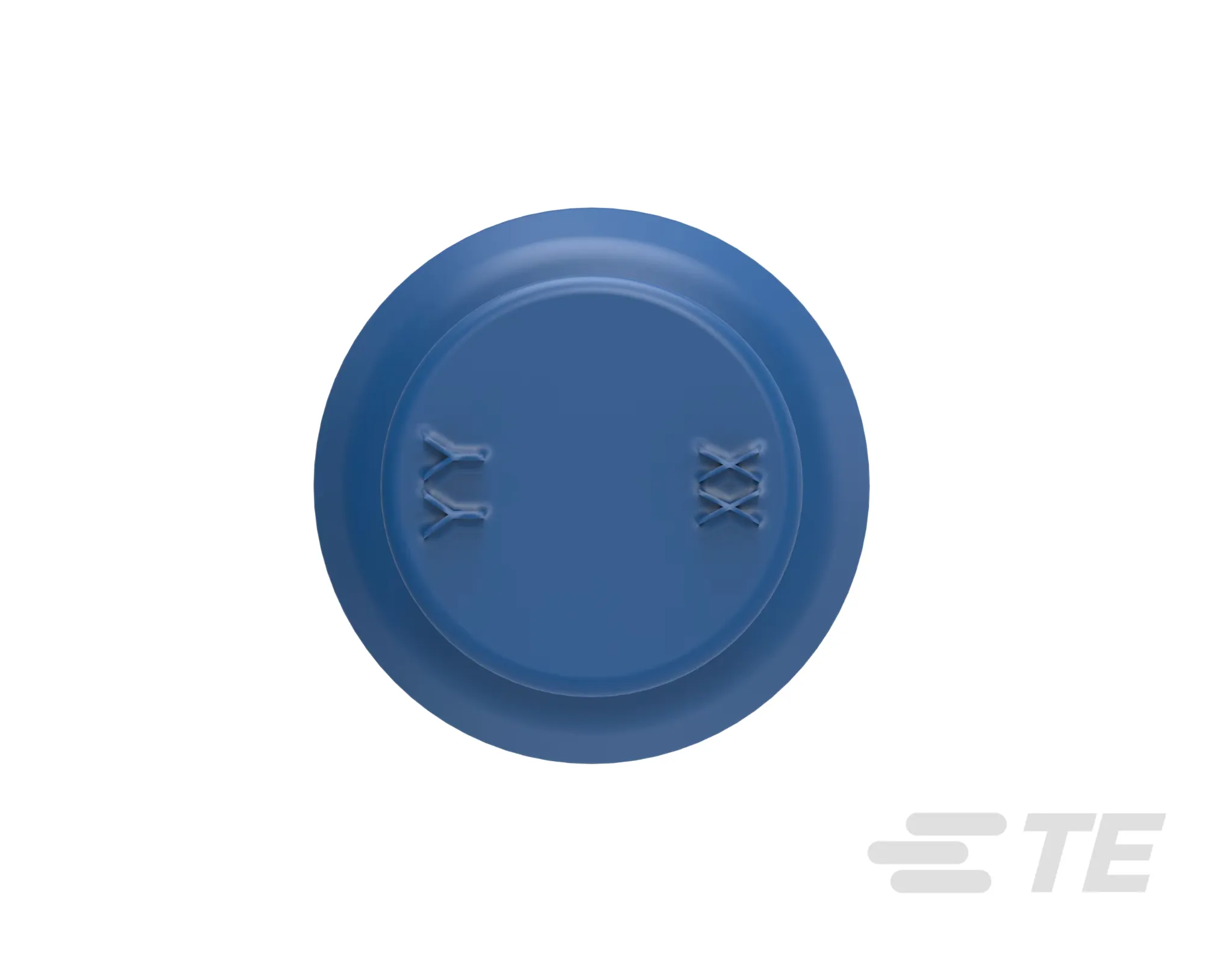 CAVITY BLANKING PLUG